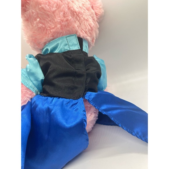 Build-a-Bear Pink Bear Lovely Stuffie Elsa Dress Frozen Disney Dress-up - Picture 4 of 7